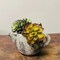 Cement Teapot Succulent Planter Rustic Flower Pot for Indoor Tabletop Decor